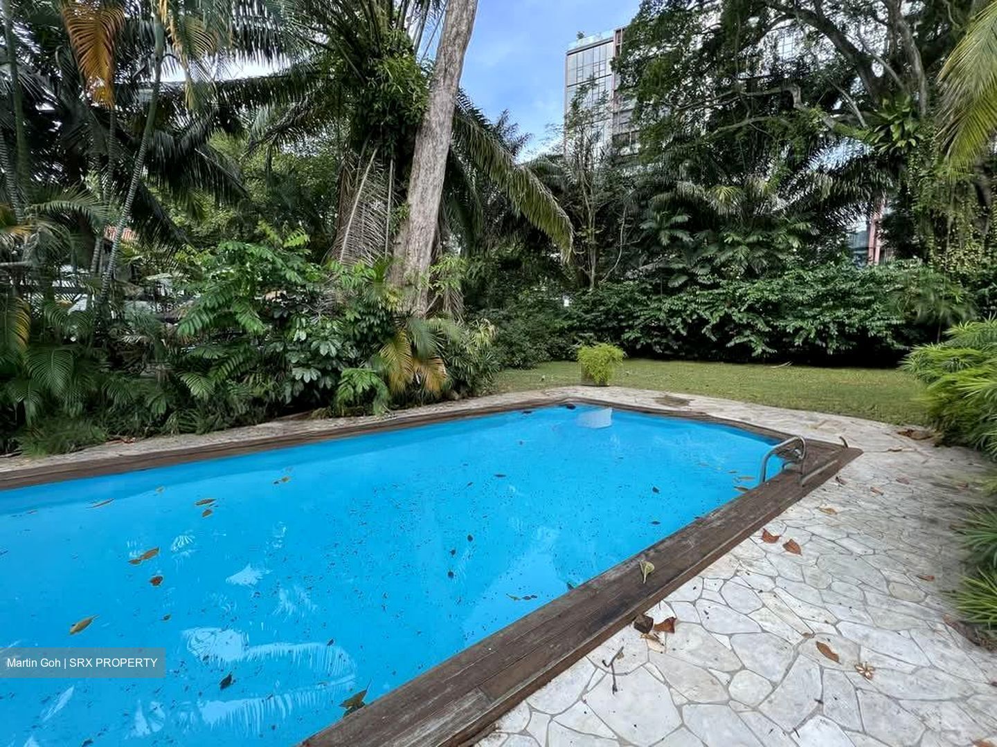 CLUNY PARK ROAD (D10), Detached #604792031